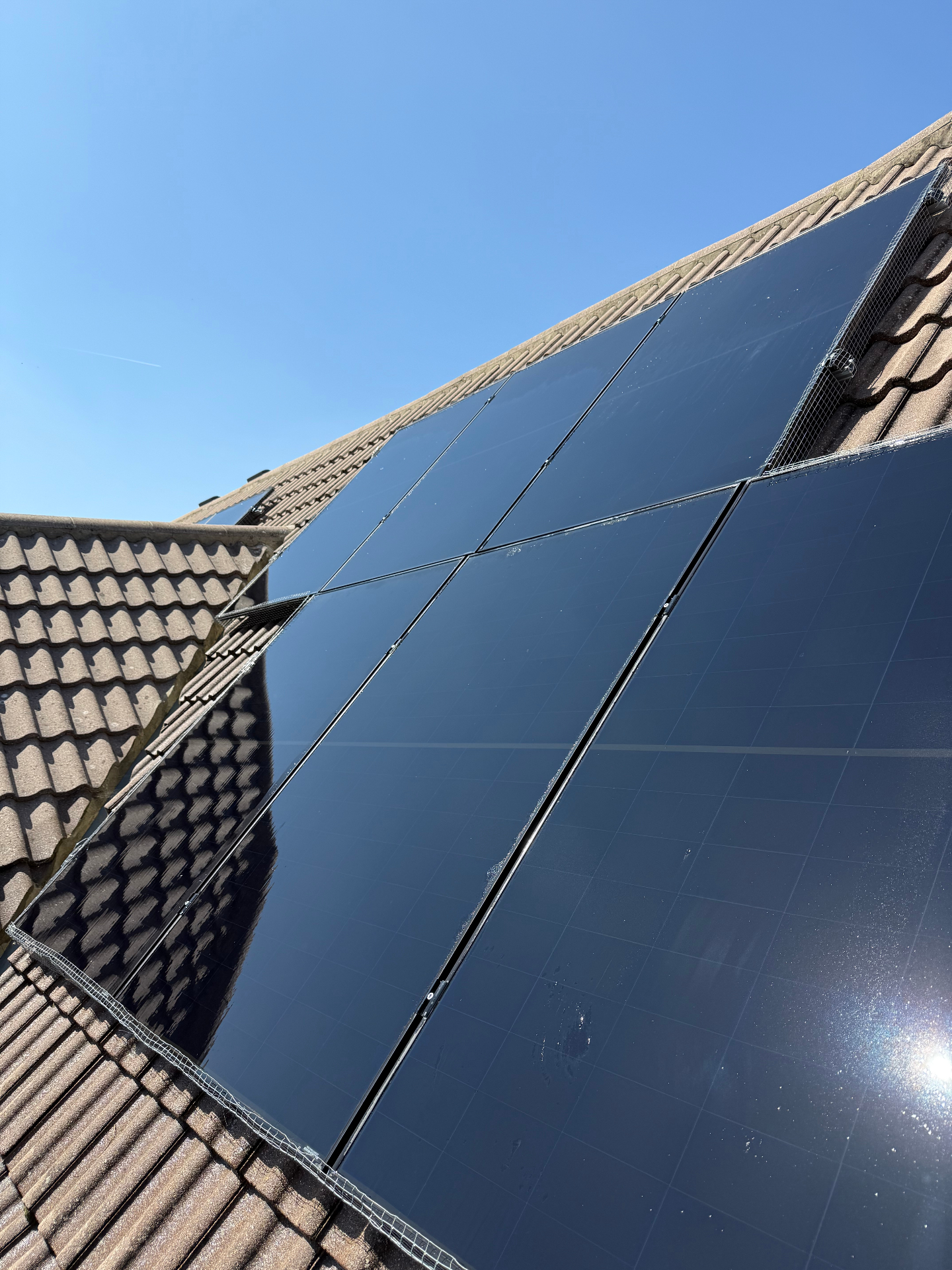 16x Aiko Neostar 2S 460W with Tesla Powerwall, fully bird-proofed. — solar PV installation in West Wickham by Solid Electrical